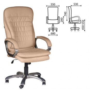 Кресло офисное BRABIX Omega EX-589 в Нижней Пойме - nizhnyaya-pojma.mebel54.com | фото