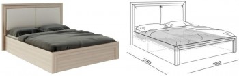 Кровать 1,6 Глэдис (М32) с подъемным механизмом в Нижней Пойме - nizhnyaya-pojma.mebel54.com | фото