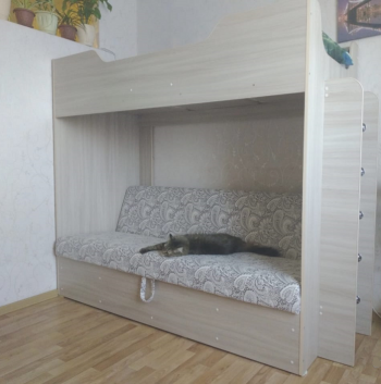 Кровать двухъярусная с диваном (Беленый дуб) в Нижней Пойме - nizhnyaya-pojma.mebel54.com | фото