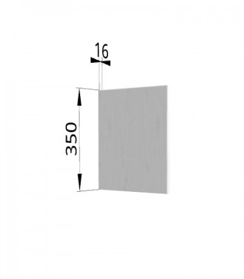 Панель торцевая (для шкафа горизонтального) ПГ Гарда (Белый) в Нижней Пойме - nizhnyaya-pojma.mebel54.com | фото