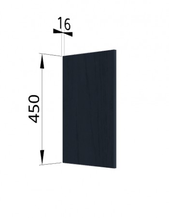 Панель торцевая (для шкафа горизонтального высокого) ВПГ Гарда (Джинс) в Нижней Пойме - nizhnyaya-pojma.mebel54.com | фото