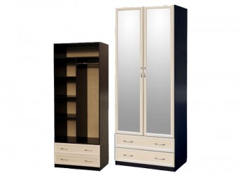 Шкаф для платья и белья 2-х дверный с профилем МДФ с 2 зеркалами Венге/Дуб выбеленный в Нижней Пойме - nizhnyaya-pojma.mebel54.com | фото